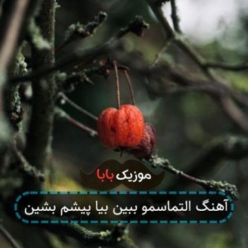 آهنگ التماسمو ببین بیا پیشم بشین