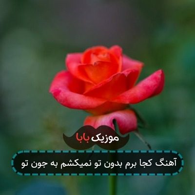 آهنگ کجا برم بدون تو نمیکشم به جون تو آهنگ کجا برم بدون تو نمیکشم به جون تو