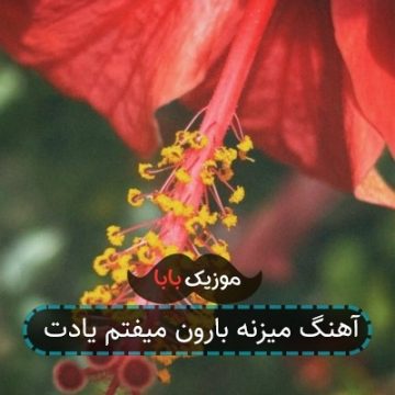 آهنگ میزنه بارون میفتم یادت