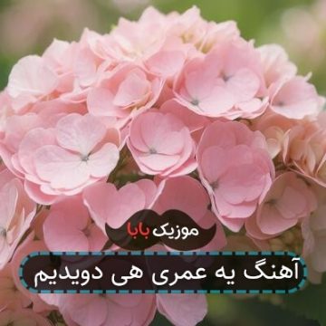 آهنگ یه عمری هی دویدیم