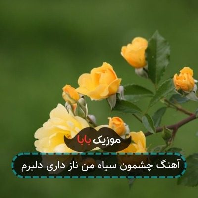 آهنگ چشمون سیاه من ناز داری دلبرم