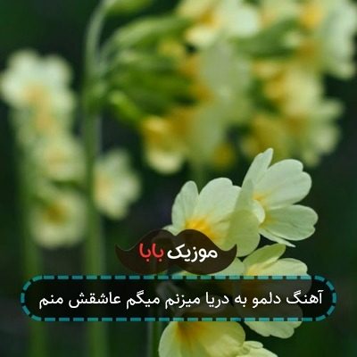 آهنگ دلمو به دریا میزنم میگم عاشقش منم آهنگ دلمو به دریا میزنم میگم عاشقش منم