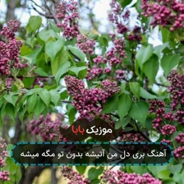 آهنگ بری دل من آتیشه بدون تو مگه میشه آهنگ بری دل من آتیشه بدون تو مگه میشه
