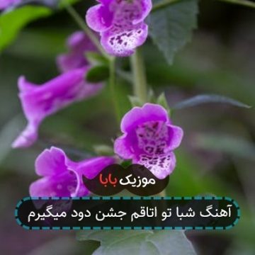 آهنگ شبا تو اتاقم جشن دود میگیرم