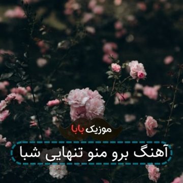 آهنگ برو منو تنهایی شبا آهنگ برو منو تنهایی شبا
