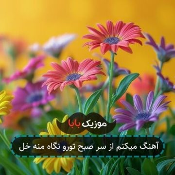 آهنگ میکنم از سر صبح تورو نگاه منه خل