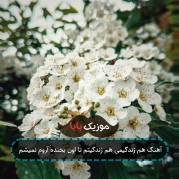 آهنگ هم زندگیمی هم زندگیتم تا اون بخنده آروم نمیشم