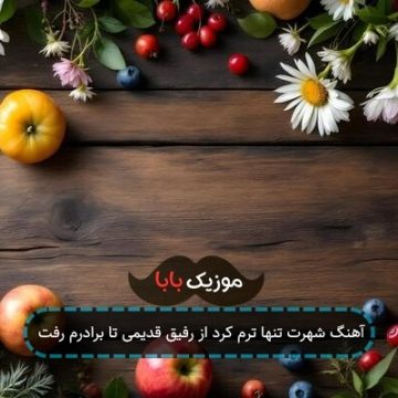 آهنگ شهرت تنها ترم کرد از رفیق قدیمی تا برادرم رفت