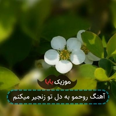 آهنگ روحمو به دل تو زنجیر میکنم