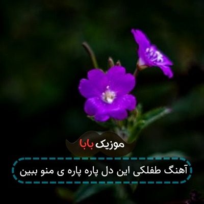 آهنگ طفلکی این دل پاره پاره ی منو ببین آهنگ طفلکی این دل پاره پاره ی منو ببین