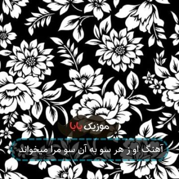 آهنگ او ز هر سو به آن سو مرا میخواند