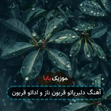 آهنگ دلبریاتو قربون ناز و اداتو قربون آهنگ دلبریاتو قربون ناز و اداتو قربون