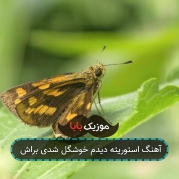 آهنگ استوریته دیدم خوشگل شدی براش آهنگ استوریته دیدم خوشگل شدی براش