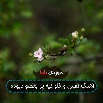 آهنگ نفس و گلو نیه پر بغضو دیوده
