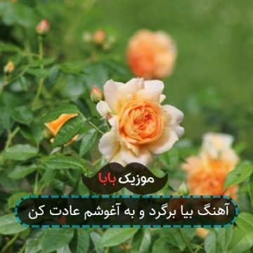 آهنگ بیا برگرد و به آغوشم عادت کن آهنگ بیا برگرد و به آغوشم عادت کن
