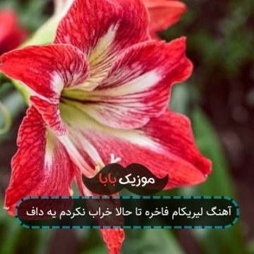 آهنگ لیریکام فاخره تا حالا خراب نکردم یه داف آهنگ لیریکام فاخره تا حالا خراب نکردم یه داف