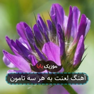 آهنگ لعنت به هر سه تامون