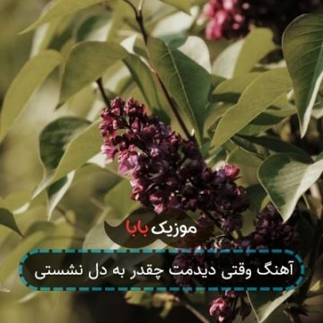 آهنگ وقتی دیدمت چقدر به دل نشستی