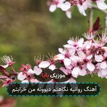 آهنگ روانیه نگاهتم دیوونه من خرابتم