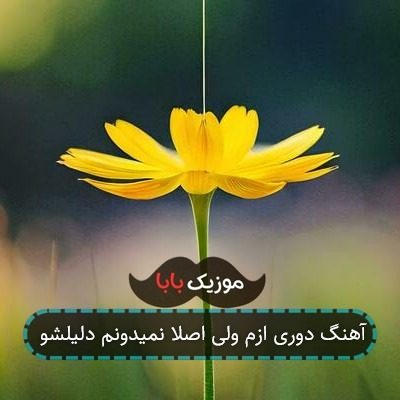 آهنگ دوری ازم ولی اصلا نمیدونم دلیلشو
