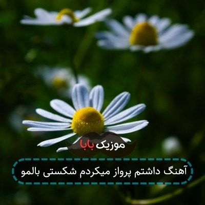 آهنگ داشتم پرواز میکردم شکستی بالمو