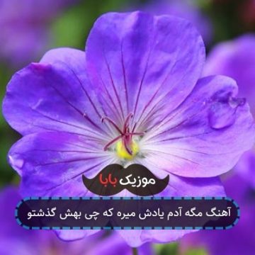 آهنگ مگه آدم یادش میره که چی بهش گذشتو