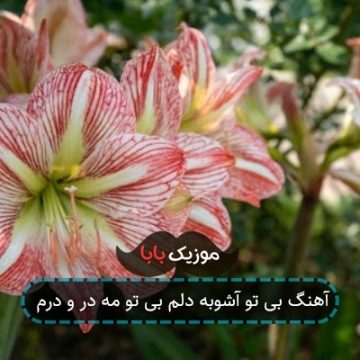 آهنگ بی تو آشوبه دلم بی تو مه در و درم آهنگ بی تو آشوبه دلم بی تو مه در و درم