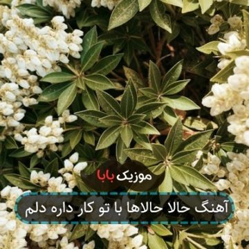آهنگ حالا حالاها با تو کار داره دلم