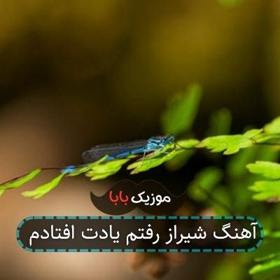 آهنگ شیراز رفتم یادت افتادم