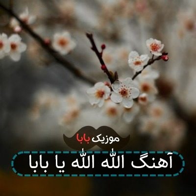 آهنگ الله الله یا بابا