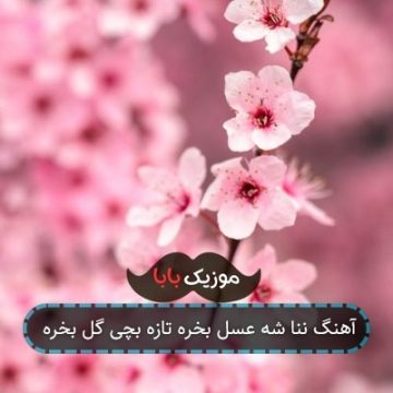 آهنگ ننا شه عسل بخره تازه بچی گل بخره