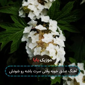آهنگ عشق خوبه وقتی سرت باشه رو شونش