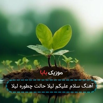 آهنگ سلام علیکم لیلا حالت چطوره لیلا