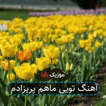 آهنگ تویی ماهم پریزادم آهنگ تویی ماهم پریزادم