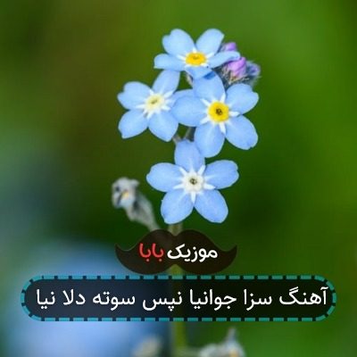 آهنگ سزا جوانیا نپس سوته دلا نیا