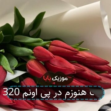 آهنگ هنوزم در پی اونم 320