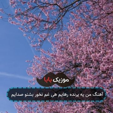 آهنگ من یه پرنده رهایم هی غم نخور بشنو صدایم آهنگ من یه پرنده رهایم هی غم نخور بشنو صدایم