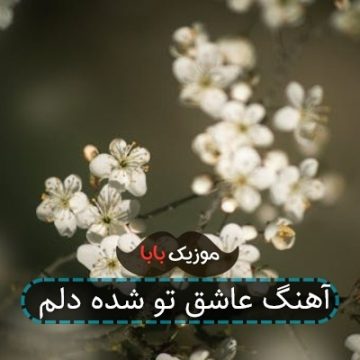 آهنگ عاشق تو شده دلم آهنگ عاشق تو شده دلم