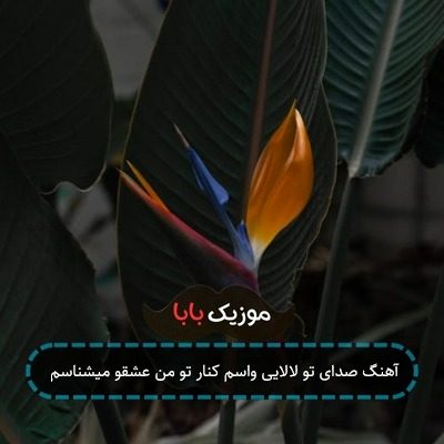 آهنگ صدای تو لالایی واسم کنار تو من عشقو میشناسم