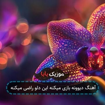 آهنگ دیوونه بازی میکنه این دلو راضی میکنه