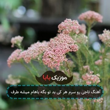آهنگ کمه کم میشه واست مرد