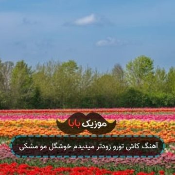 آهنگ کاش تورو زودتر میدیدم خوشگل مو مشکی