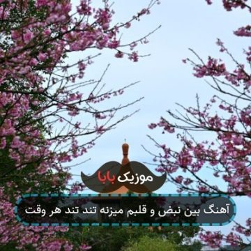 آهنگ بین نبض و قلبم میزنه تند تند هر وقت