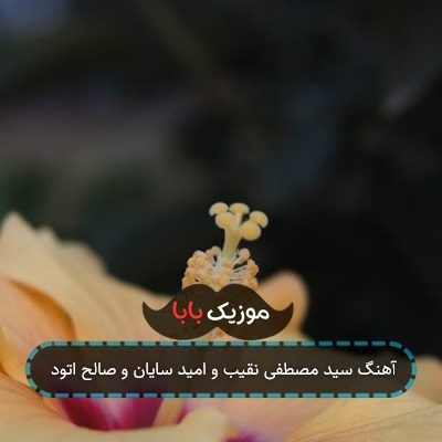 آهنگ سید مصطفی نقیب و امید سایان و صالح اتود