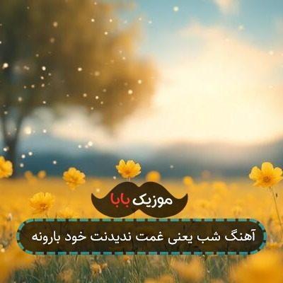 آهنگ شب یعنی غمت ندیدنت خود بارونه