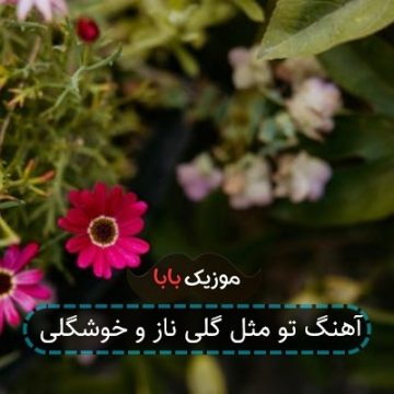 آهنگ تو مثل گلی ناز و خوشگلی آهنگ تو مثل گلی ناز و خوشگلی