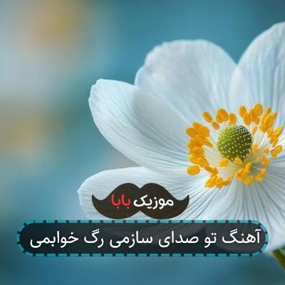 آهنگ تو صدای سازمی رگ خوابمی آهنگ تو صدای سازمی رگ خوابمی