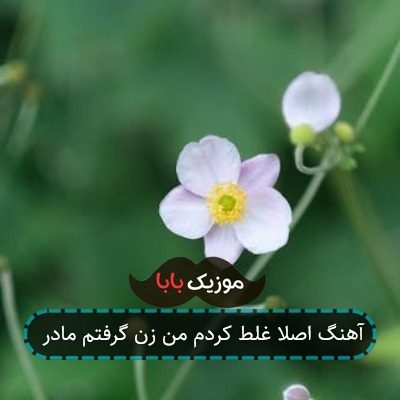 آهنگ اصلا غلط کردم من زن گرفتم مادر