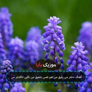 آهنگ دختر من رفیق من هم نفس شفیق من نگین انگشتر من آهنگ دختر من رفیق من هم نفس شفیق من نگین انگشتر من