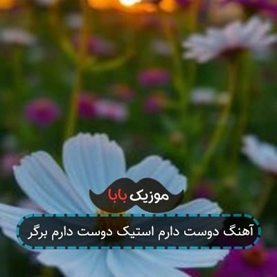 آهنگ دوست دارم استیک دوست دارم برگر